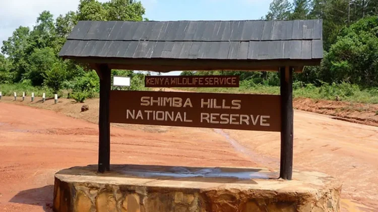 Shimba Hills National Park Day Trip