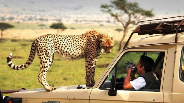 TANZANIA SAFARI TOURS