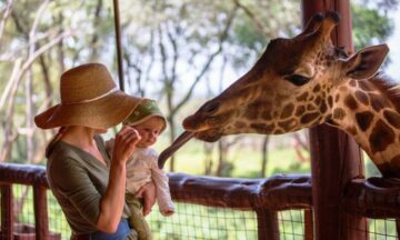 The Giraffe Center