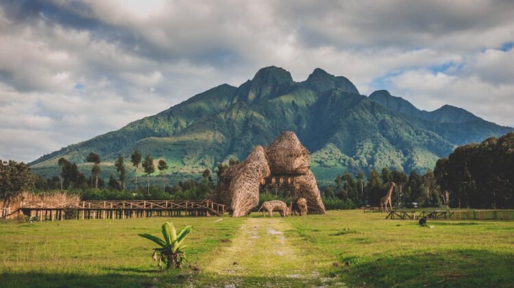 Volcanoes National Park – Rwanda