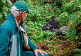 10 Days, 9 Night; Gorilla & Chimpanzee Treks & Safari Tour