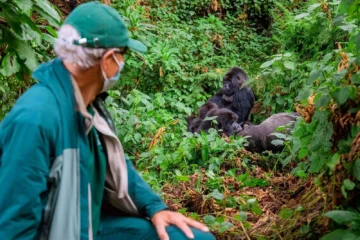10 Days, 9 Night; Gorilla & Chimpanzee Treks & Safari Tour
