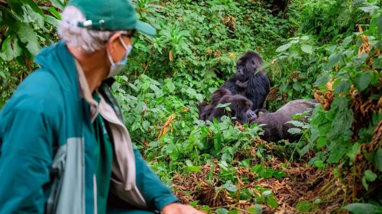 10 Days, 9 Night; Gorilla & Chimpanzee Treks & Safari Tour