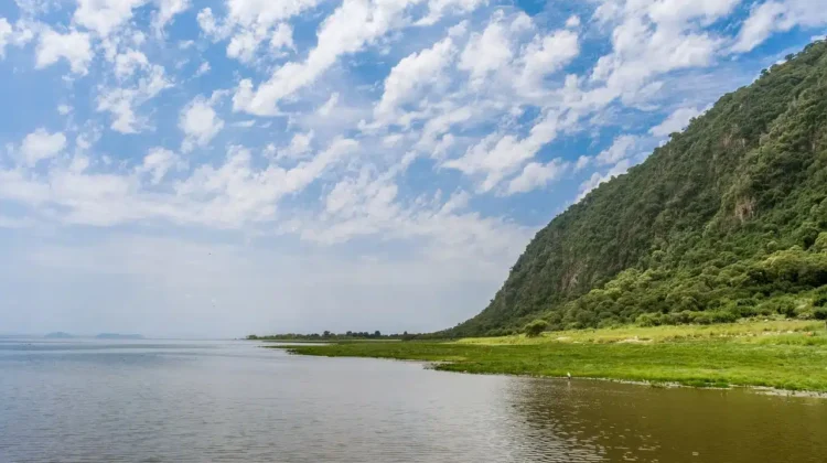 3 Days, 2 Nights: Lake Manyara – Ngorongoro Crater Trip