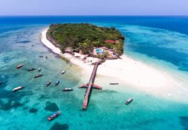 4-DAY ZANZIBAR FLY-IN SAFARI TO NYERERE PARK
