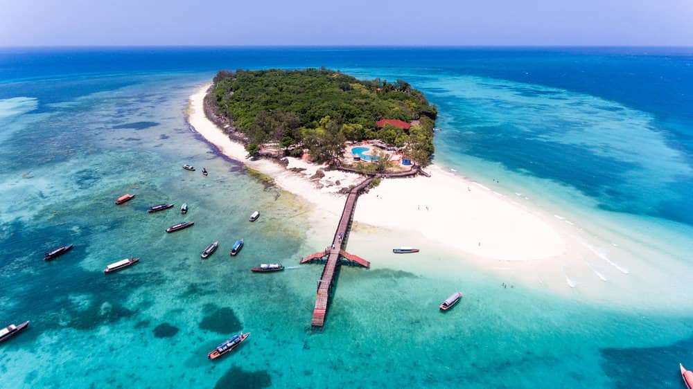 4-DAY ZANZIBAR FLY-IN SAFARI TO NYERERE PARK