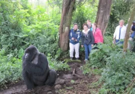 7 Days, 6 nights; Uganda Gorilla and Game Safari