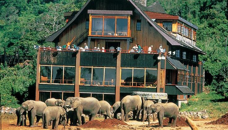 ABERDARES NATIONAL PARK LODGES & CAMPS