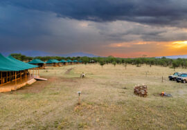 Angata Kemarishe Tented Camp