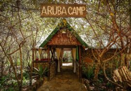 Aruba Mara Camp