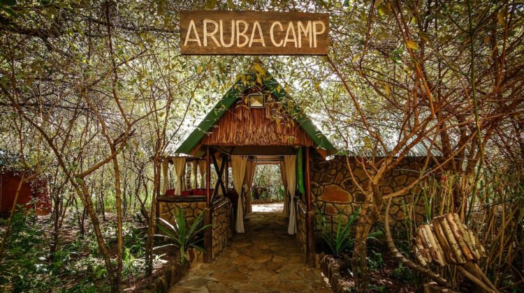 Aruba Mara Camp