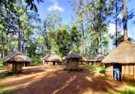 Bomas of Kenya