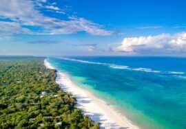 Diani Beach /South Coast Beach Hotel Transfers From Mombasa Airport/Mombasa Train Station /Diani Airstrip