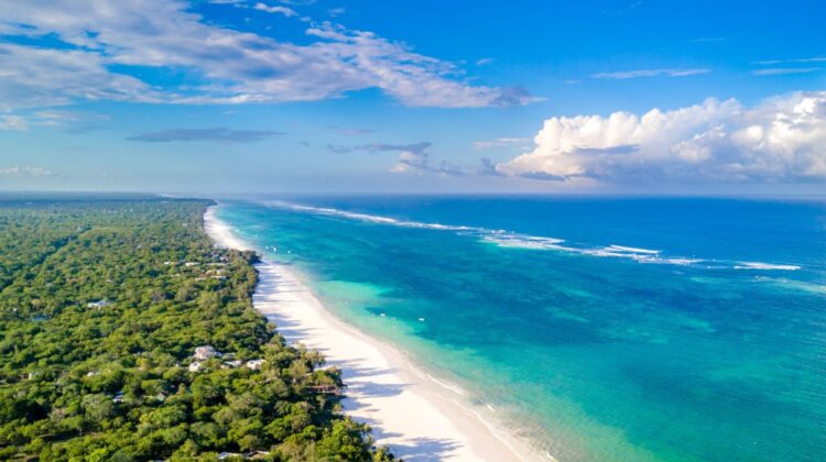 Diani Beach /South Coast Beach Hotel Transfers From Mombasa Airport/Mombasa Train Station /Diani Airstrip