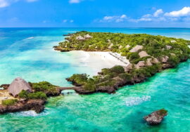 Diani Beach & Safari Tours