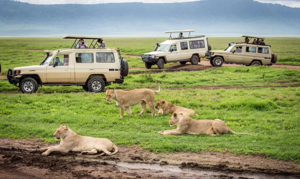 Experience This 3-Day Tour to the Marvellous Masai Mara