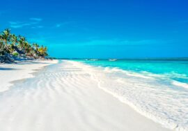 FLY ZANZIBAR TO NYERERE PARK 2-DAY TOUR