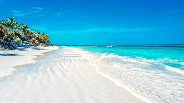 FLY ZANZIBAR TO NYERERE PARK 2-DAY TOUR