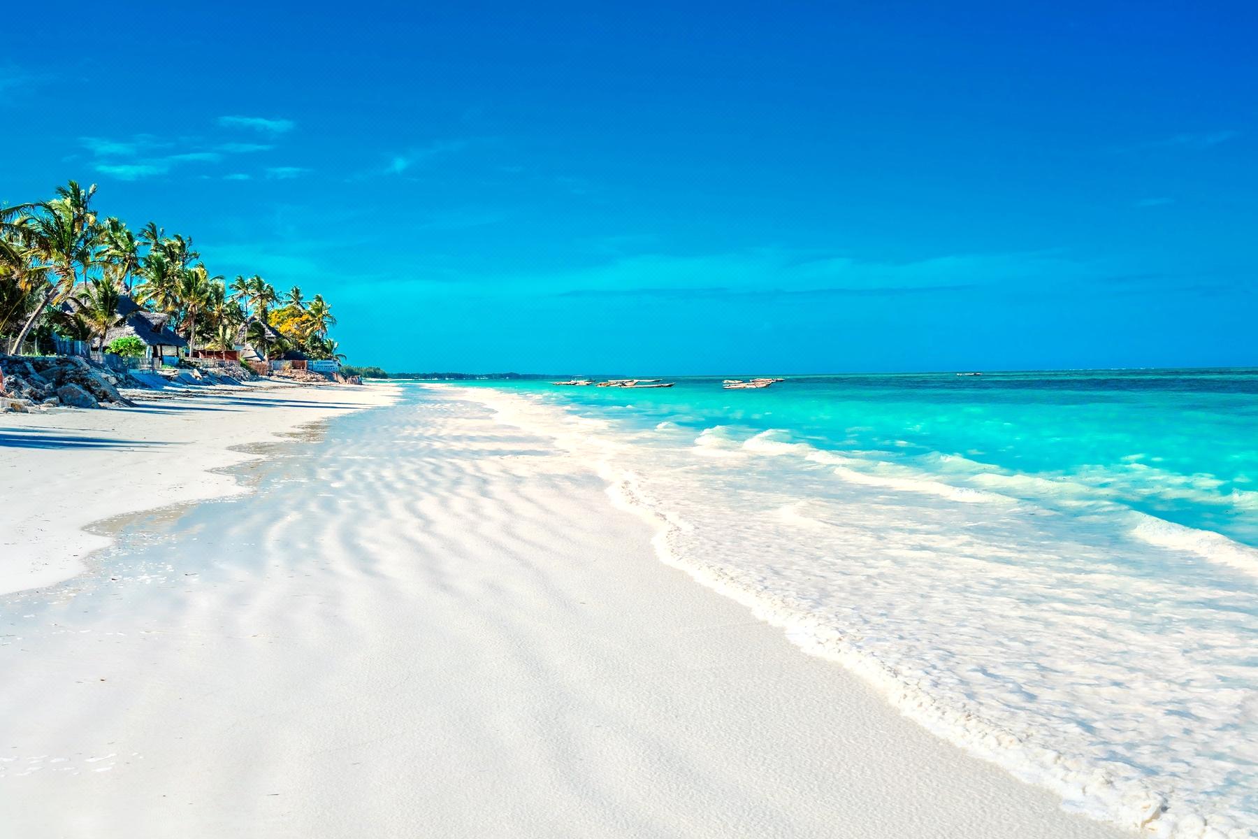 FLY ZANZIBAR TO NYERERE PARK 2-DAY TOUR