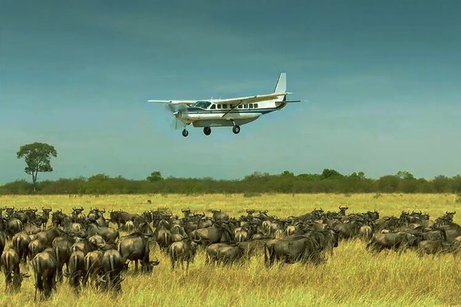 FLY ZANZIBAR TO NYERERE PARK DAY TOUR