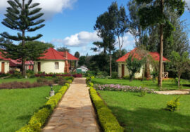 Hhando Coffee Lodge