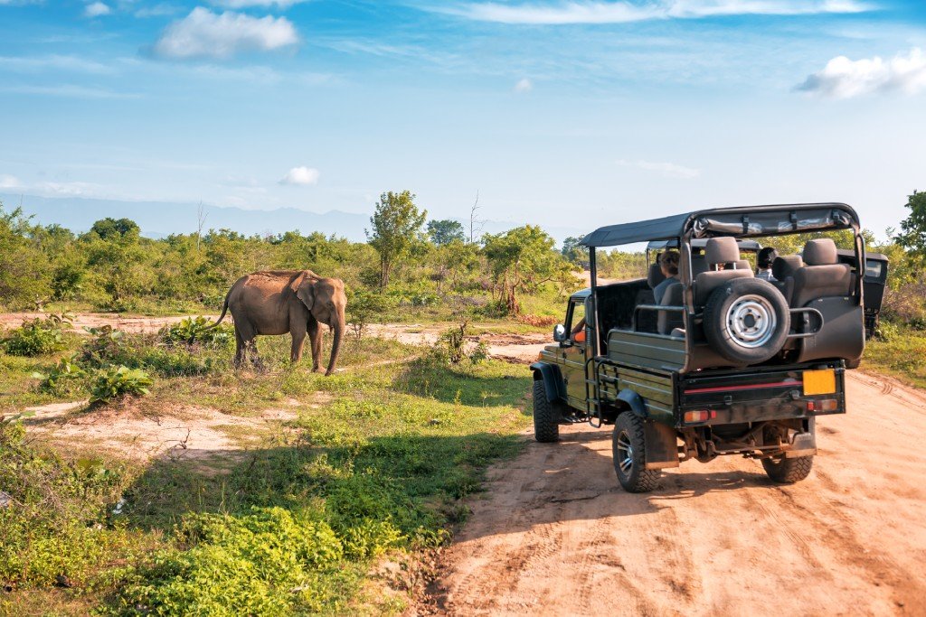 Kenya Safari Tips