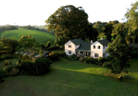 Kiambethu Tea Farm