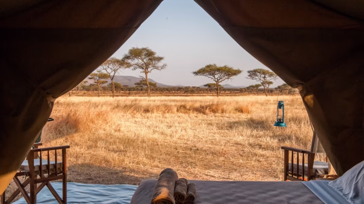 Kirurumu Serengeti South Camp