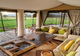 Lemala Serengeti - Mara & Ndutu