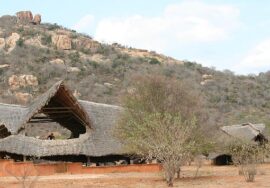 Maneaters Camp