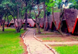 Mara Concord Game Lodge