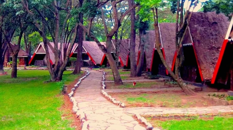 Mara Concord Game Lodge