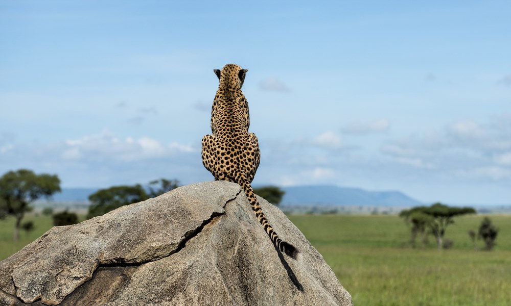 Mara North Conservancy