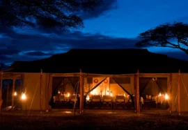 Mara Under Canvas