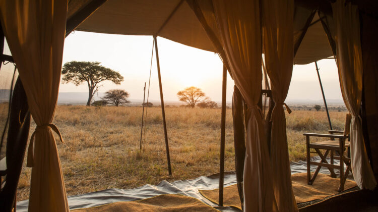 Mara Under Canvas Serengeti