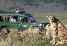 Masai Mara Private Safari