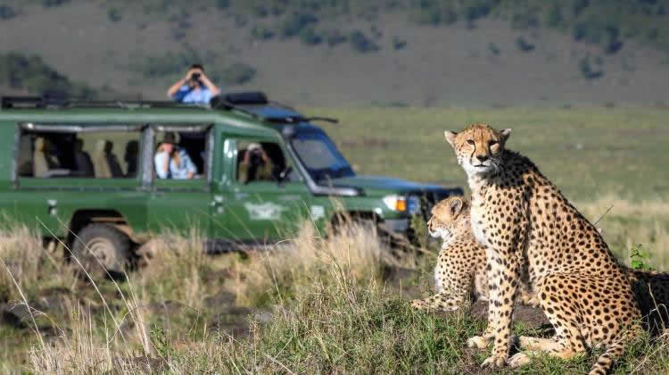 Masai Mara Private Safari