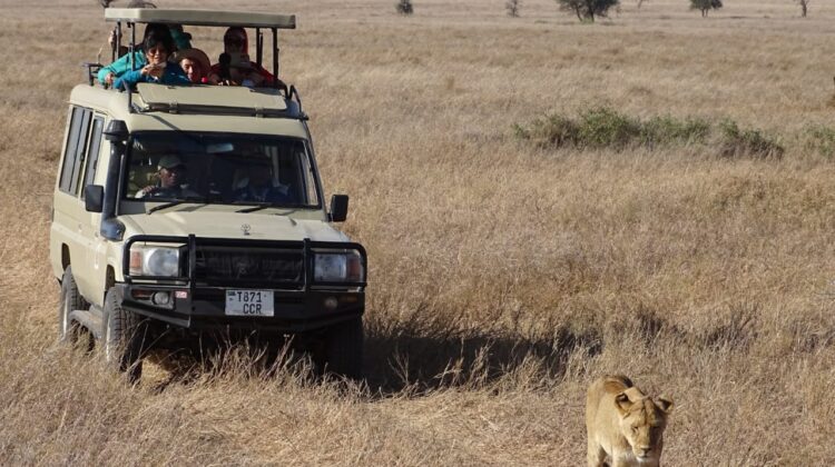 Masai Mara Safaris