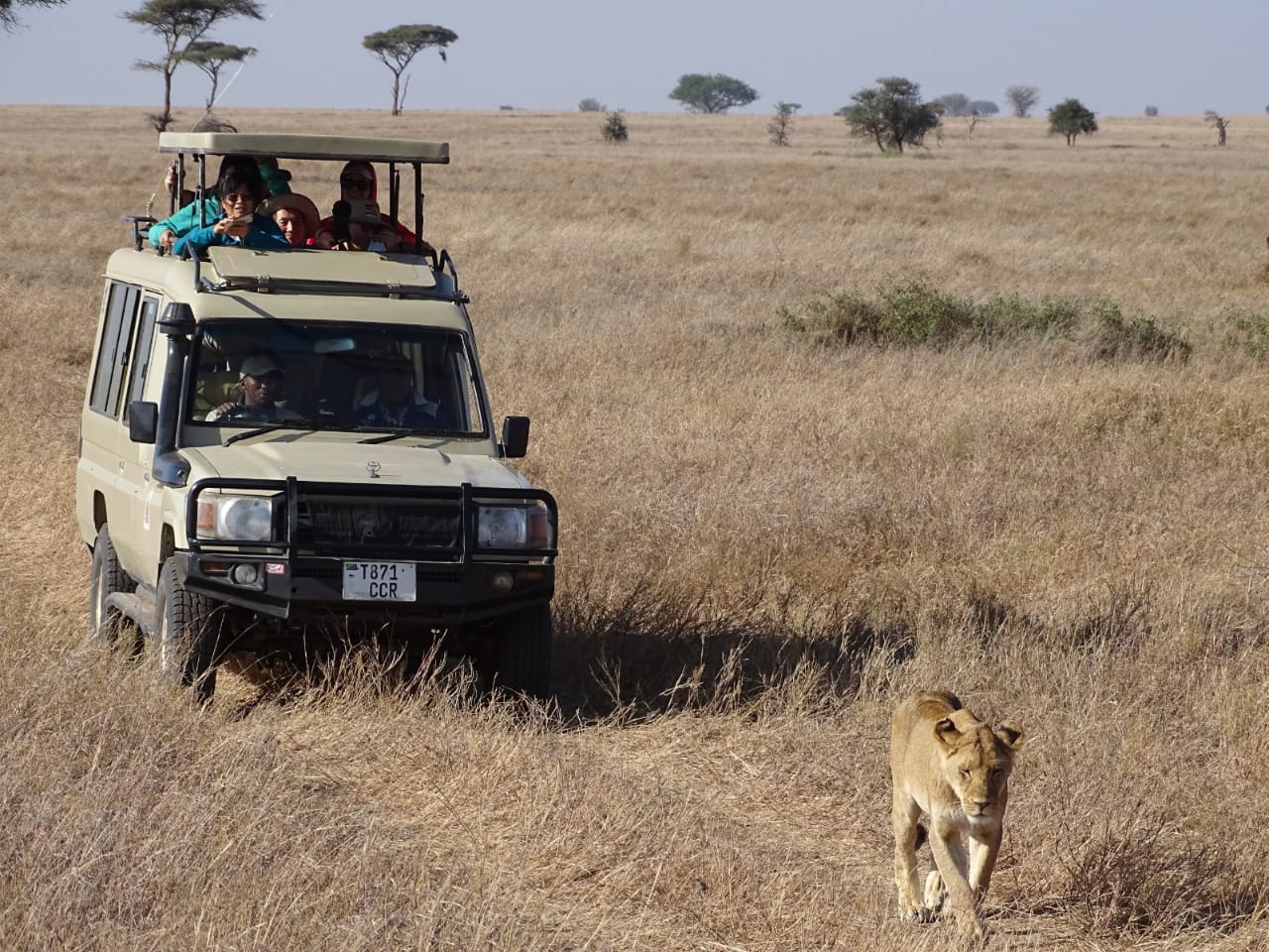 Masai Mara Safaris