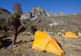 Mount Kenya trekking 6 days 5 nights