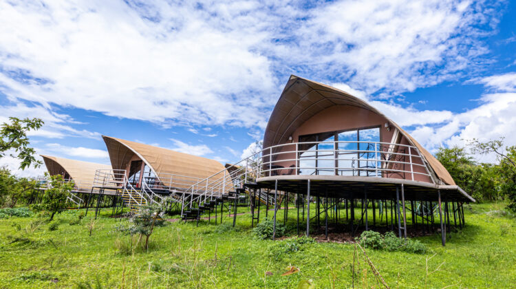NGORONGORO CONSERVATION AREA LODGES AND CAMPS