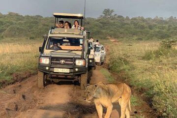 Nairobi National Park
