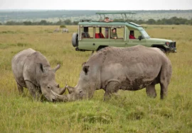 OL PEJETA CONSERVANCY