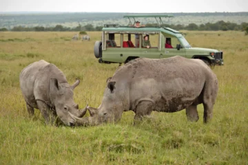 OL PEJETA CONSERVANCY