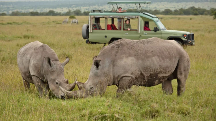 OL PEJETA CONSERVANCY