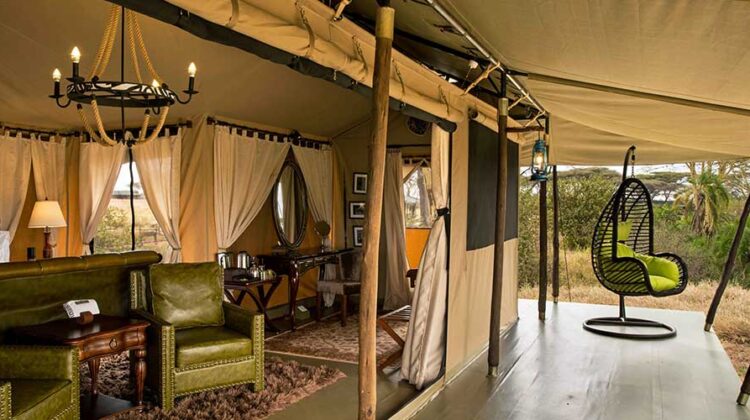 Ole Serai Luxury Camp - Turner Springs