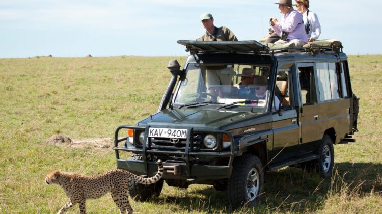Rent a safari vehicle for your East Africa adventure