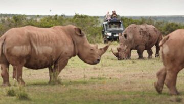 SOLIO RANCH CONSERVANCY