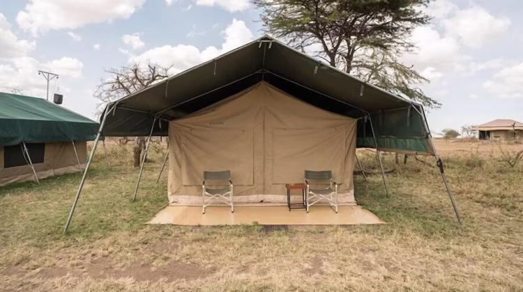 Serengeti Wild camp Tanzania