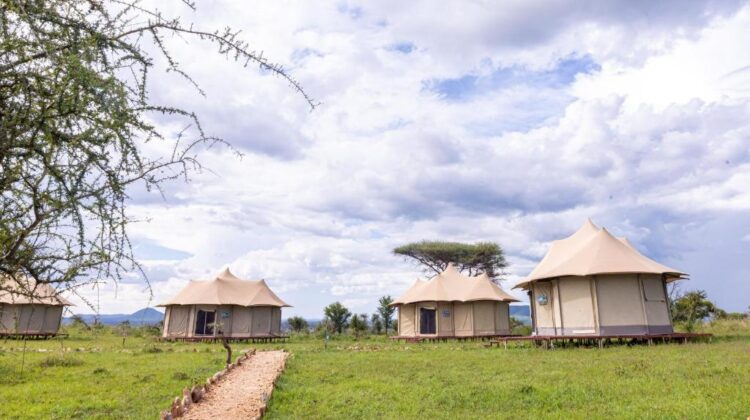 Serengeti Wildebeest Camp Tanzania